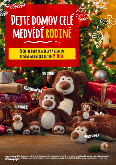 medvědi